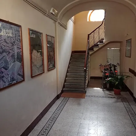 Buonanotte Lucca